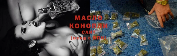 сатива Аркадак