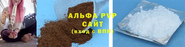 сатива Аркадак