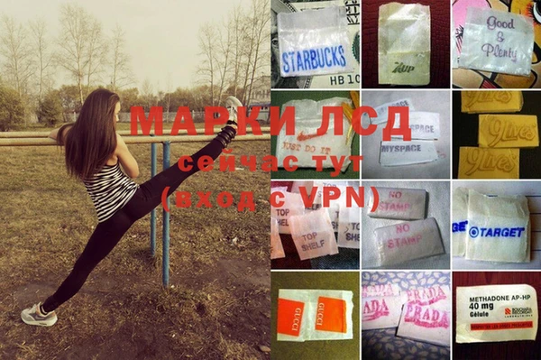 сатива Аркадак