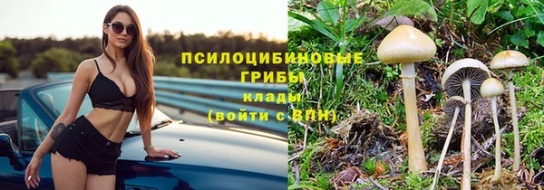 ALPHA PVP Арсеньев