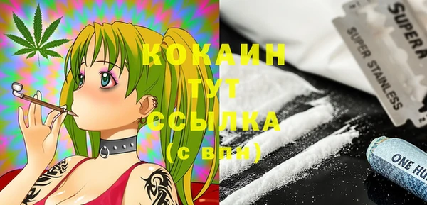 сатива Аркадак