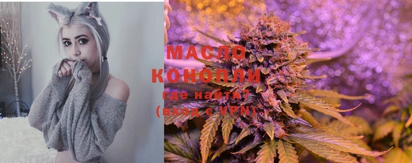 сатива Аркадак