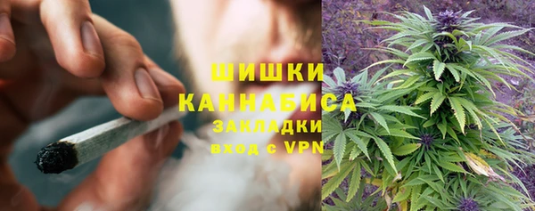 сатива Аркадак