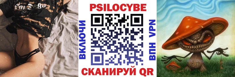 Галлюциногенные грибы прущие грибы  где найти   гидра зеркало  Каспийск 